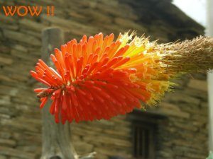 Spiritual Retreat 2011-49